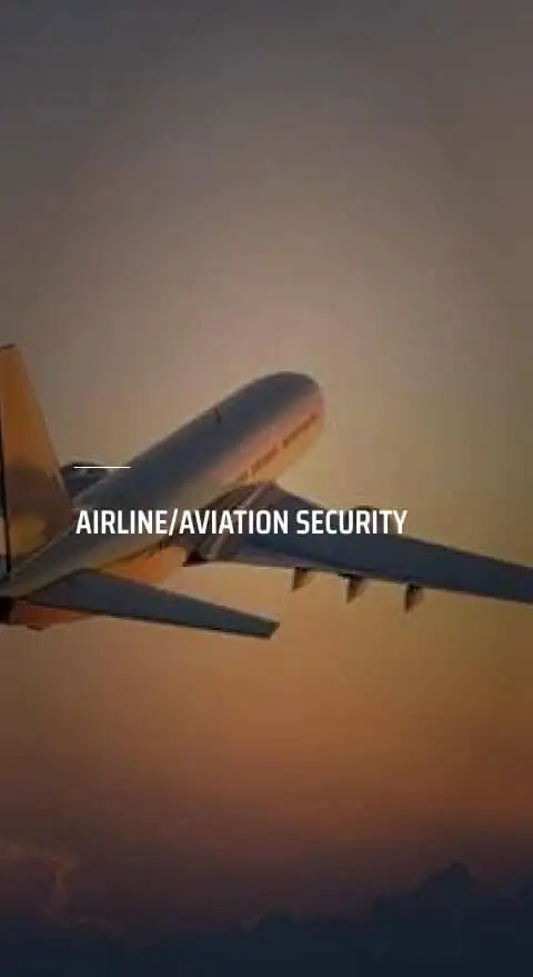 Airline security