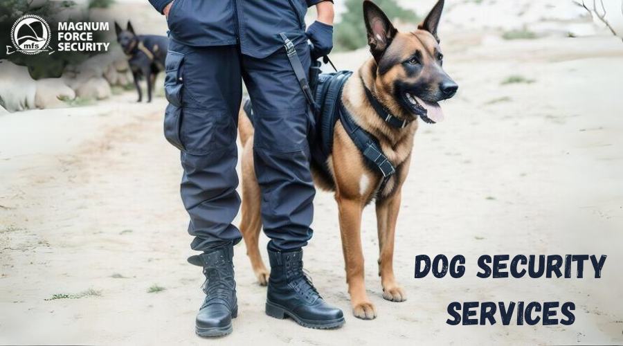 Dog Security Services in Ghana