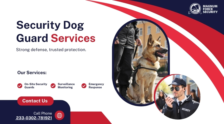 Benefits Dog Guard Services in Ghana
