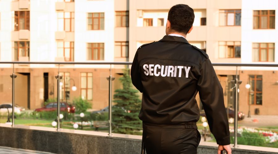 Professional Security Guards